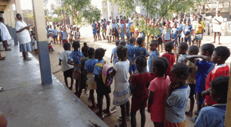 Nouvelles d’Andrenalafotsy